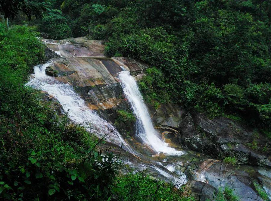 深圳星荟丽格医疗美容诊所违法广告案